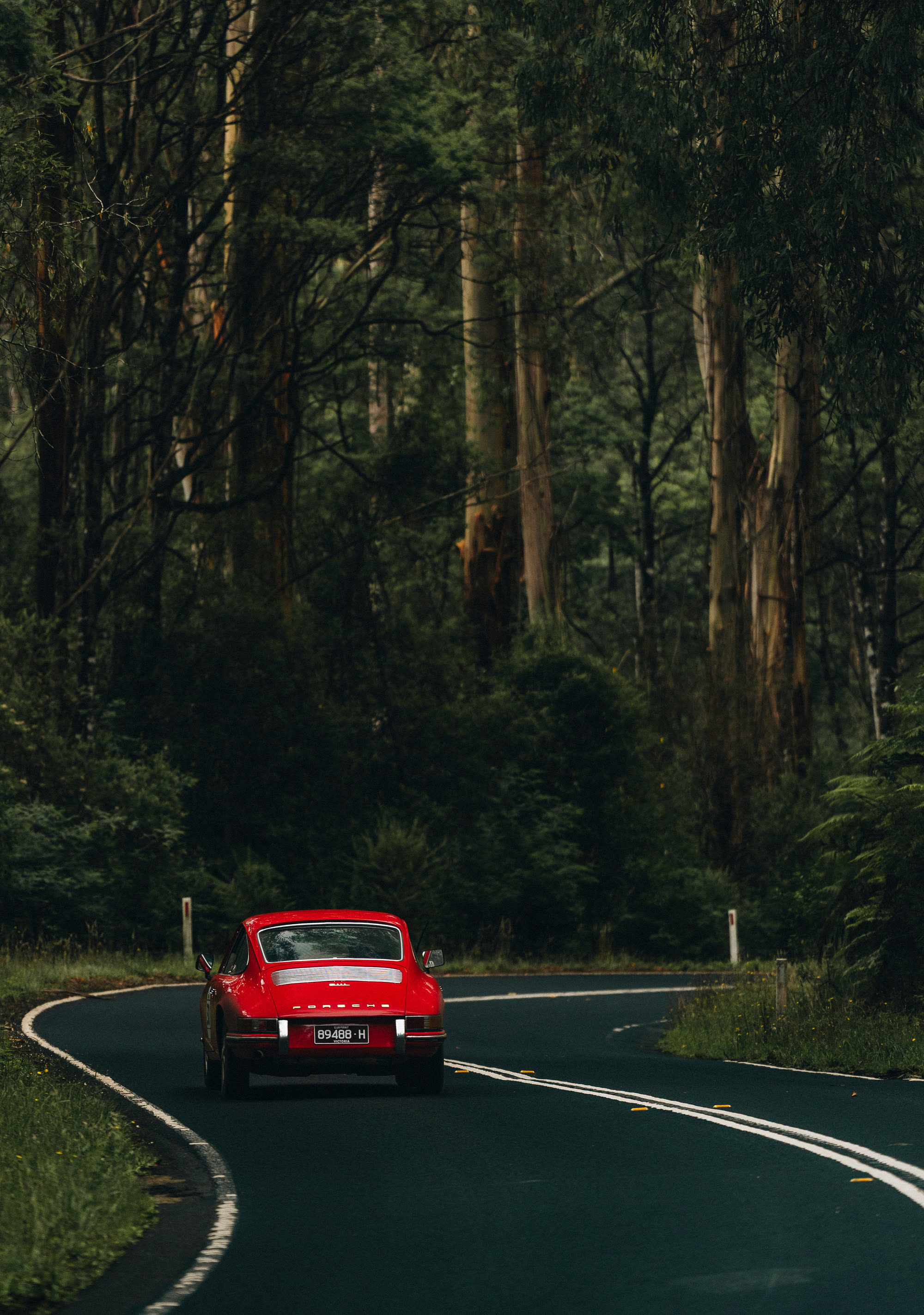 A red Porsche 911 from behind on a road through tall mountain ash