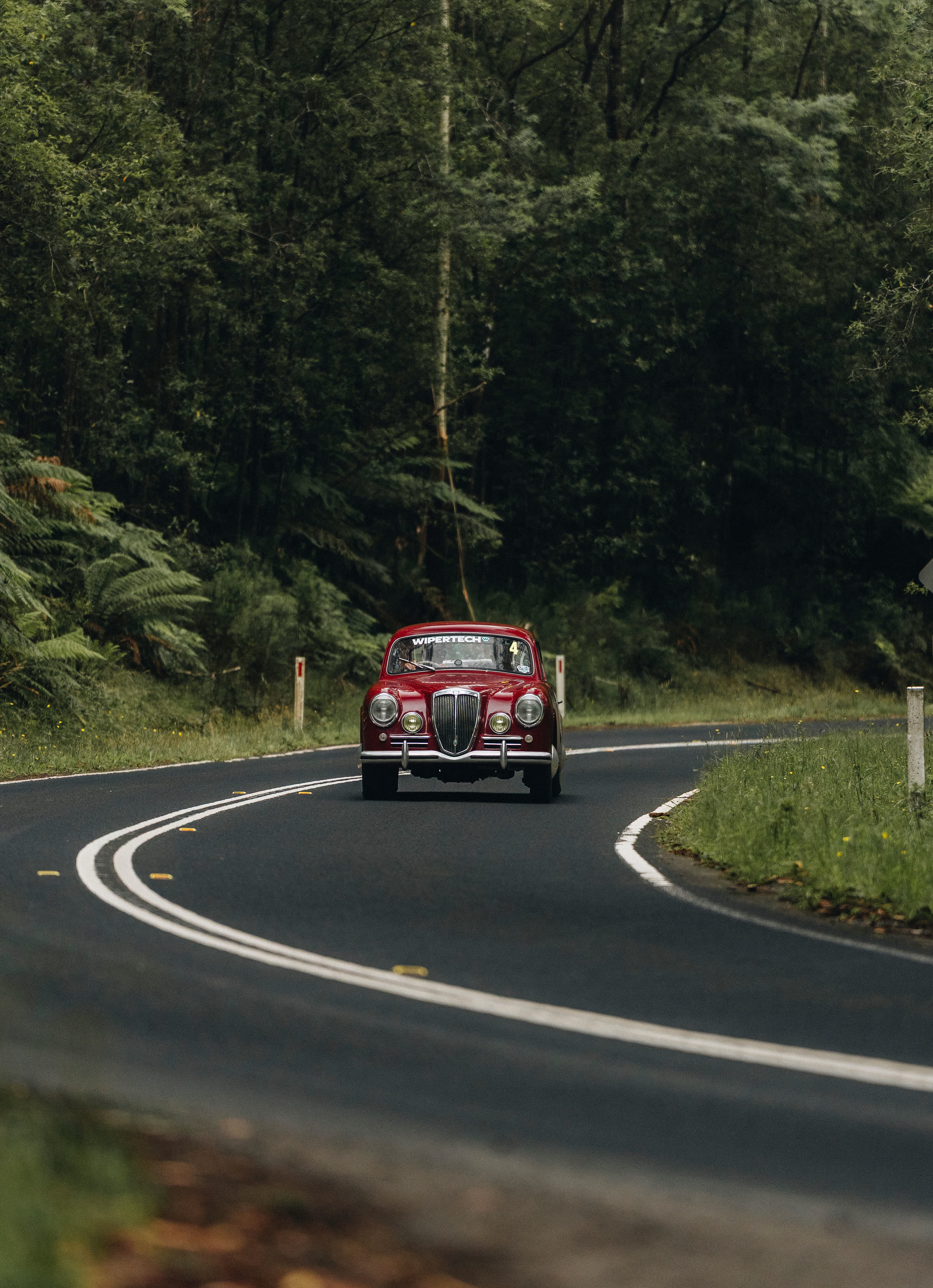 A dark red 1950s saloon head-on through a bend in dense forest