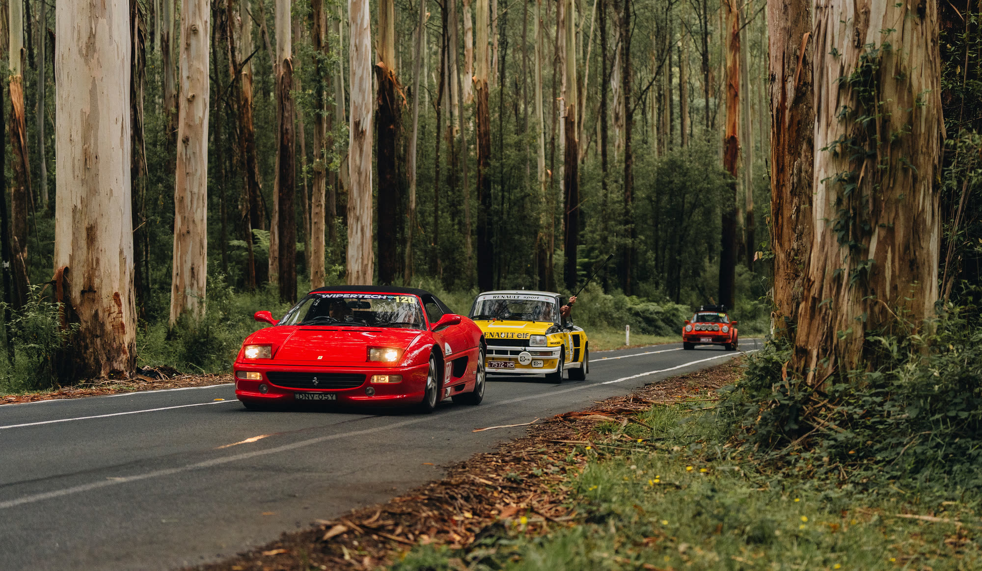 A red Ferrari leading a yellow Renault rally car through tall gum forest