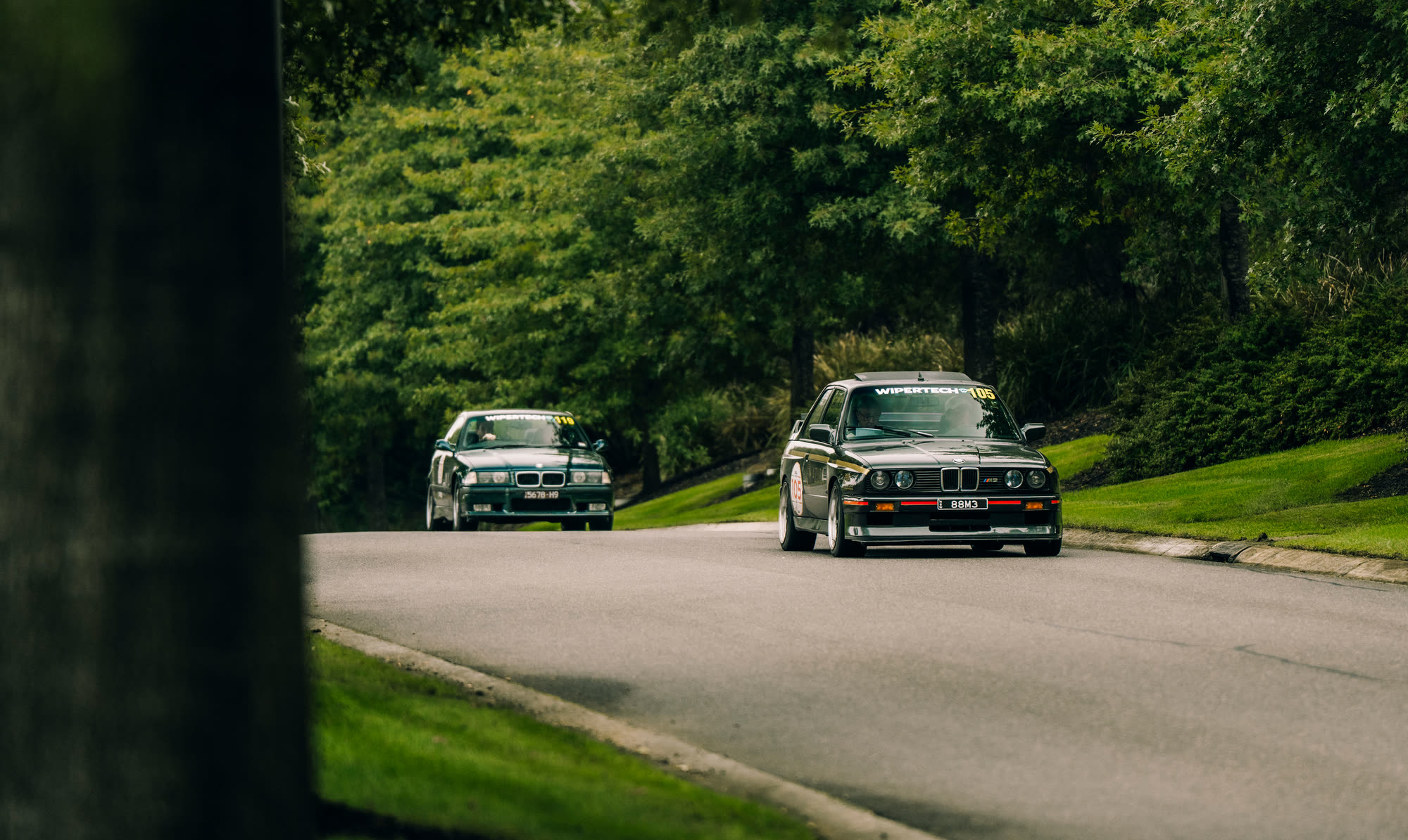 Two dark green BMW coupes on a tree-lined road, one close behind the other