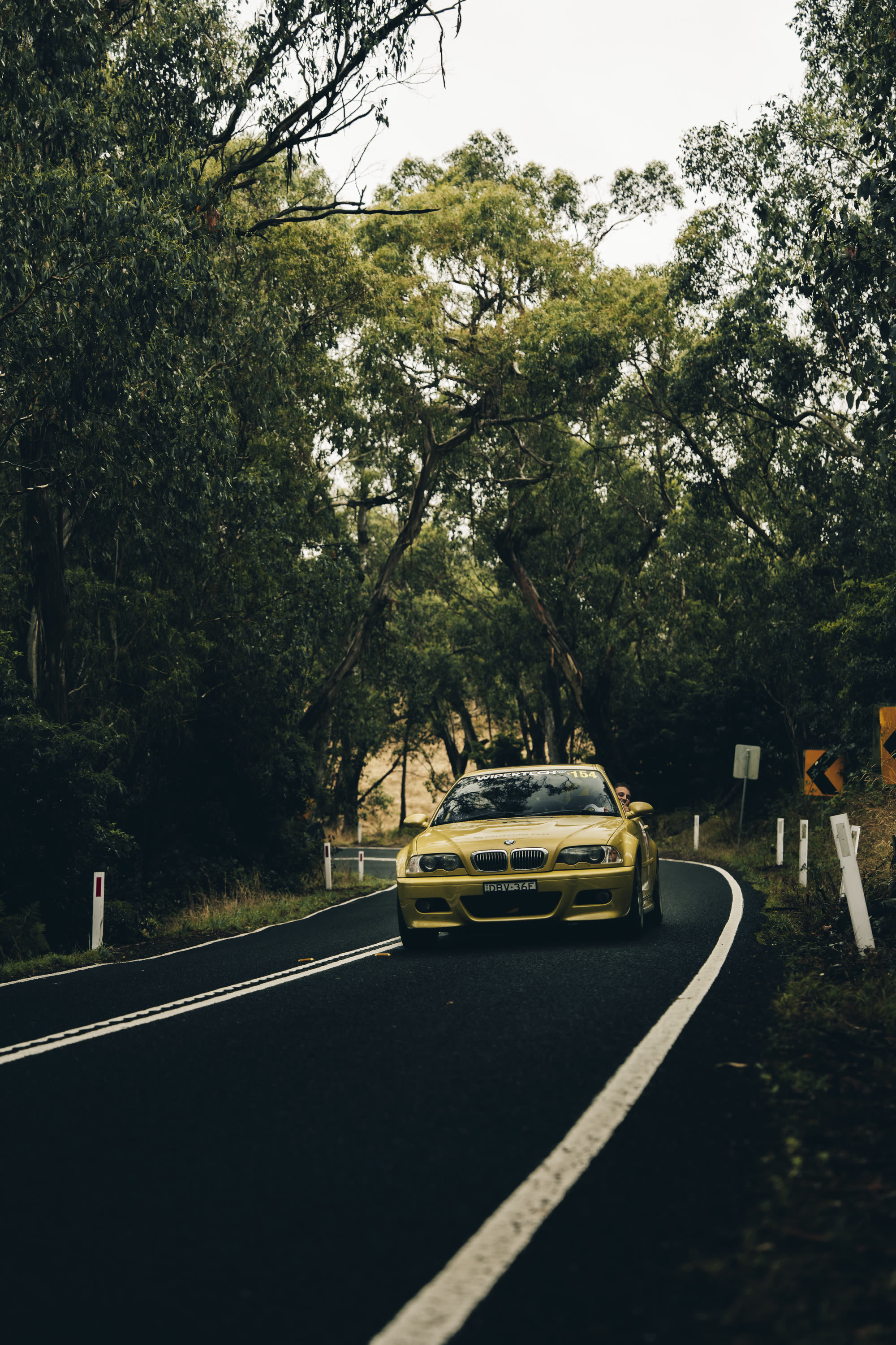 A yellow BMW coupe head-on through a bend on a eucalypt-lined road
