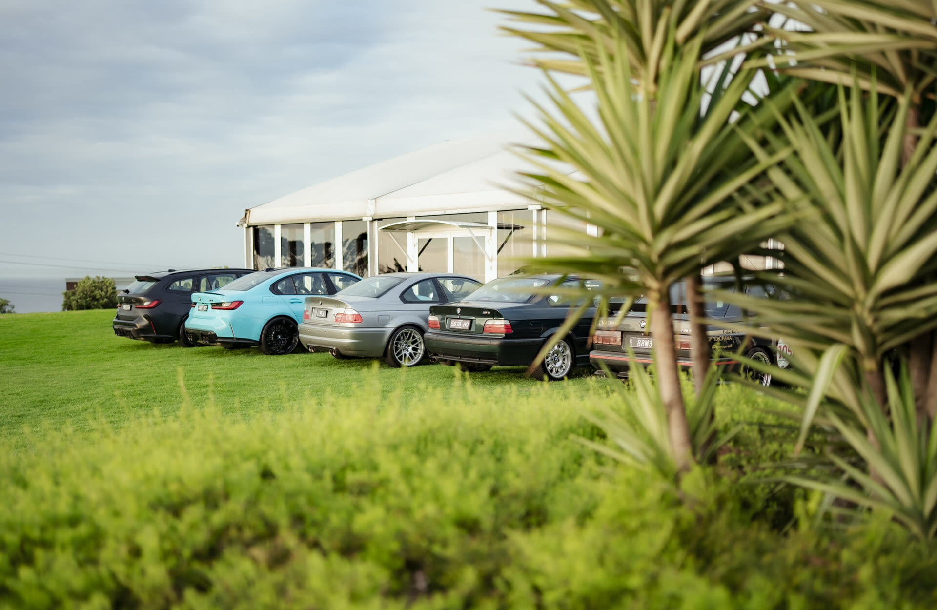 A row of BMW saloons and coupes parked on grass beside a marquee