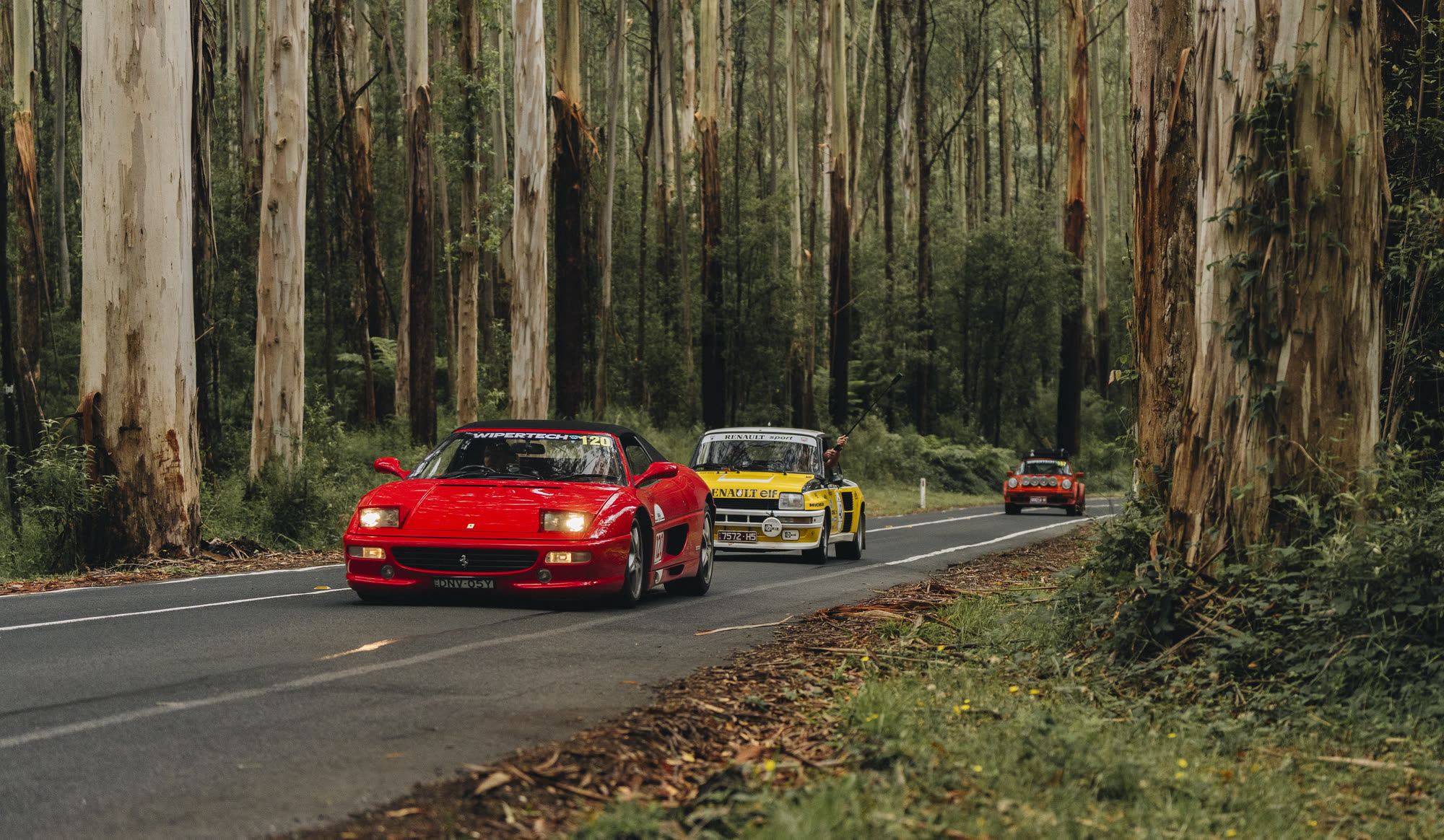 A red Ferrari leading a yellow Renault rally car through tall gum forest